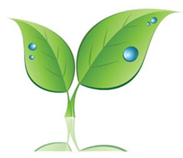 Naturheilverfahren Naturheilverfahren
